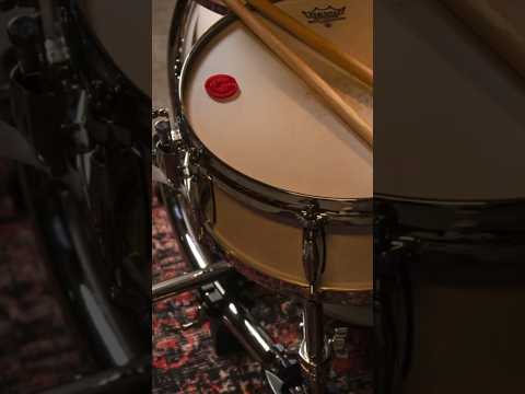 Eliminate unwanted resonance or overtones with #gibraltarhardware dampening pads #drums #percussion