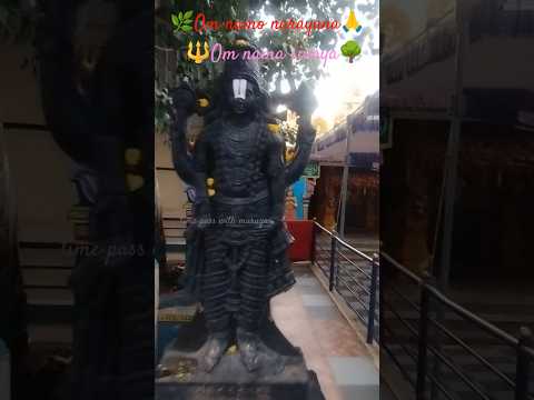 🚩🔱🌿om namo narayana🌳🙏#omnamonarayanaya#trending#omnamahshivaya#shortsfeed#viralvideo#shortvideo#siva