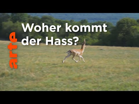 Was haben wir gegen die Jagd? | Offene Ideen | ARTE