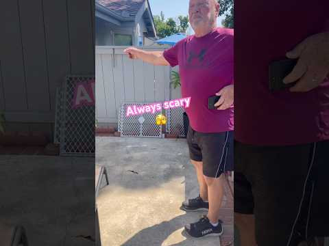 Rattlesnake bites family dog #sad #snake #animals #fypシ #youtube