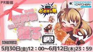 【第65回どこキャ祭】オンラインクレーンゲームに初挑戦！限定らんまるグッズを獲る！後半戦✨【PR配信】