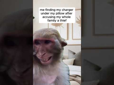 my bad 🤭 😂😂😂 #funny #animalfunny #subscribe