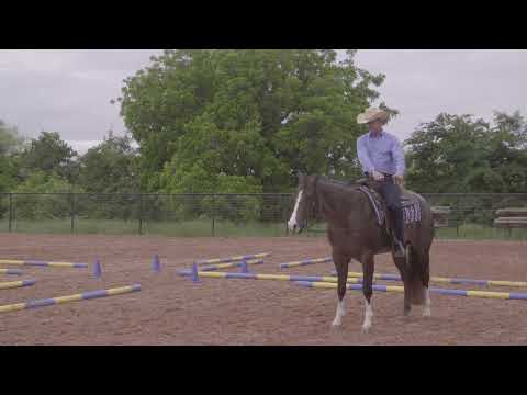 Robin Frid: Steering Your Horse Over Poles