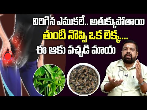 ఈ ఆకు పచ్చడి ఒక్కసారి తింటే ఎముకల నొప్పులు ఉండవు | Hip Pains natural cure | Dr. Mahesh Babu |SumanTv