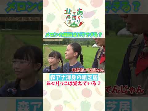 メロンの網目どうできる?森アナ渾身の紙芝居の成果は?