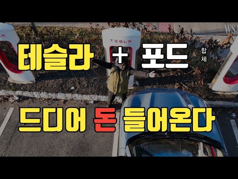 테슬라 드디어 또하나의 돈줄이 열리다 [넷플릭스 안부러운 포드+테슬라]