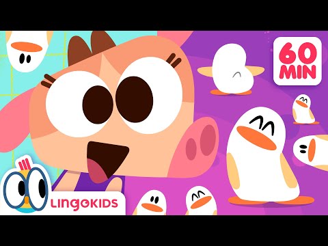 PENGUIN DANCE 🐧🎶 60 minutes ON REPEAT 🔄| Lingokids Songs