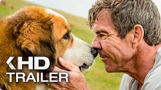 BAILEY - EIN FREUND FÜRS LEBEN Trailer German Deutsch (2017)