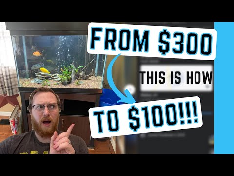 Save HUNDREDS Buying Used Aquariums Doing This One Hundreds of dollars might mean the difference from buying our dream tank and being left with nothing
