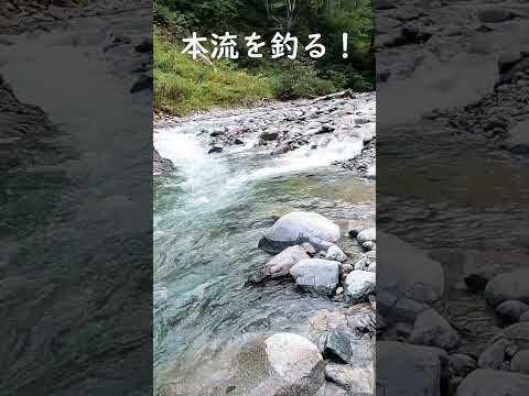 支流ダメなのでまた本流を釣る