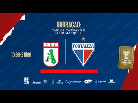 image para ilustrar o artigo