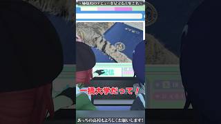 あおぎり最古参の魂子とあかりが新人VTuberの初配信をゆるく見守る【LN_へるぷ.exe編】 #あおぎり高校 #ゆうぎり高校 #vtube