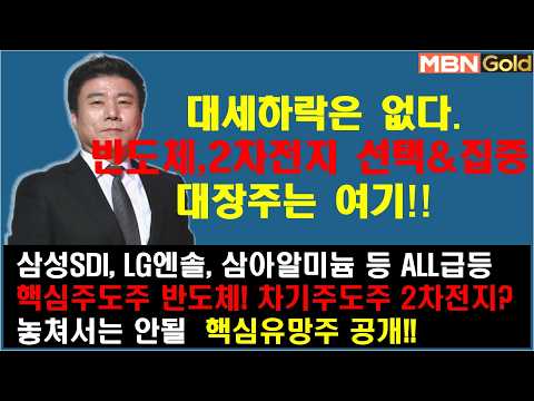 [한규수대표] 핵심주도주 반도체, 후발주 2차전지?(#삼성전자#sk하이닉스#삼성SDI#엘앤에프#포스코퓨처엠#이수스페셜티케미컬#LG에너지솔루션#심텍#원익IPS#테크윙#대주전자재료