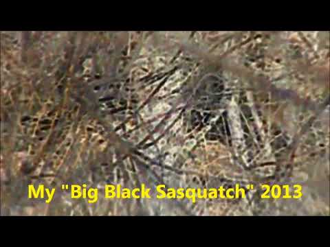 Physical Proof: Hand Print Cast of A Sasquatch