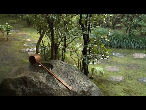 茶の湯への誘い 4 茶事「こころ」と「かたち」 An Invitation to Chanoyu #4 The Tea Gathering : Spirit and Form