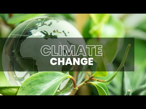 Qatar's Initiatives To Combat Climate Change