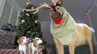 動画サムネイル