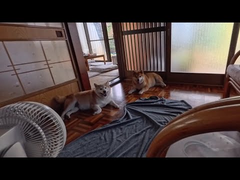 蒸気機関と、扇風機 サムネイル