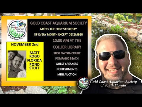 Gold Coast Aquarium Society  Nov 2, 2019 Meeting S Special Guess Speaker Matt Kogo Florida Ponds, How to make one. What you would need it. Also what ca