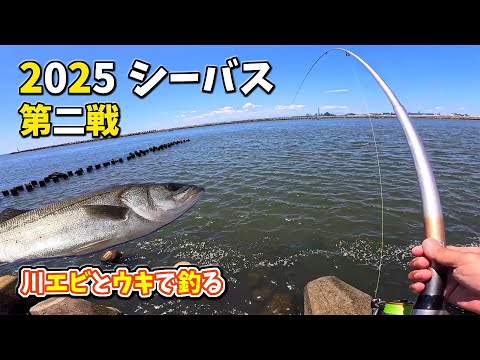 川エビで シーバス ウキ釣り 2025 第二戦