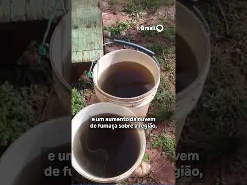 Chuva preta cai em cidades no Rio Grande do Sul #RepórterBrasilTarde