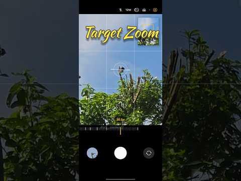 Finally Zoomed At Dove 🕊🎯 #100xzoom #s24ultra #zoom #dove