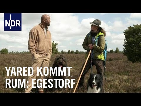 Dibaba erzählt Dorfgeschichten aus Egestorf | Yared kommt rum | NDR Doku