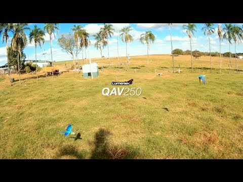 QAV250 - Fly and Contemplate - UC1pZOzOq7J5jOgh81zwDkaA