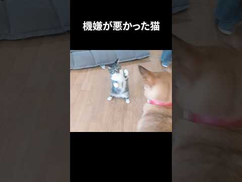 なんじゃああーー!