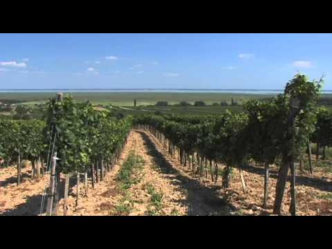 Neusiedler See Vacation Travel Video Guide - UC3o_gaqvLoPSRVMc2GmkDrg