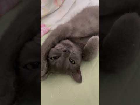 Thấy cũng hay #baihatmoi #jack #linhmientay #cat #xuhướng