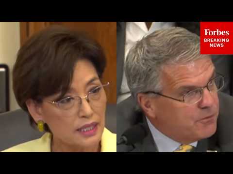 'What Are Some Of The Gaps?': Young Kim Asks Witness About Cooperation On US Energy Supply Security Episode cover