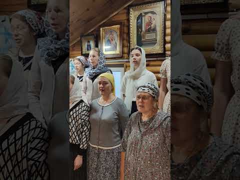 Стихира святым #хор