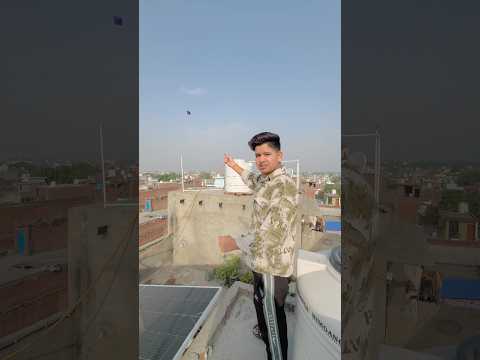 Uljhi hui dhor ki vjha se patang ko hei <strong>tod</strong> diya 🥰🪁 #kite #kiteflying #patang #patangbazi