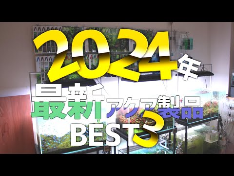 2024年に発売された最新製品の中でBEST3を発表します。#624【アクアリウム】