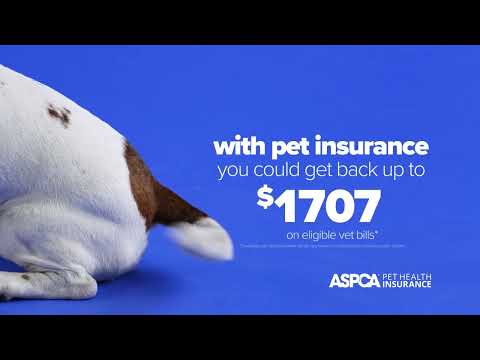 Fractured Tail? ASPCA® Pet Health Insurance Can Help Cover the Cost