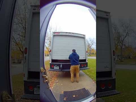 CARGO SHOCK! Trucker CRUSHED by 5 Teacups & Dogs in Sunglasses 🚚💥🕶️