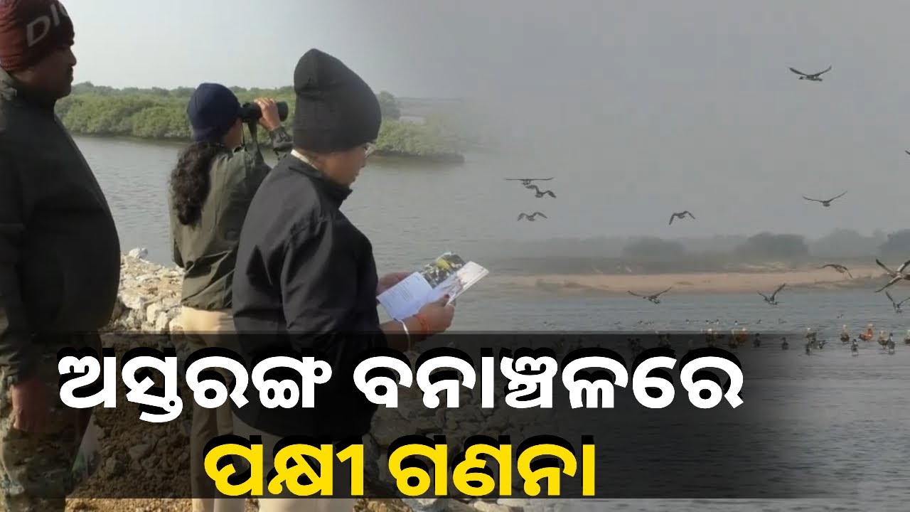 ପୁରିଜିଲ୍ଲାର ଅସ୍ତରଙ୍ଗ ବନାଞ୍ଚଳ ଅଧୀନରେ ରହିଥିବା ବିଭିନ୍ନ ବେଳା ଭୂମିରେ ପକ୍ଷୀ ଗଣନା ଆରମ୍ଭ ହୋଇଛି