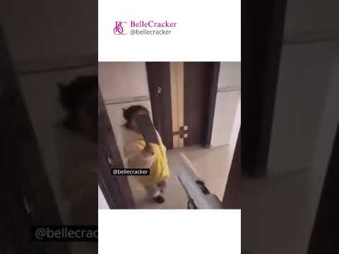 Reacción a videos graciosos l Reacción mexicano 20 #meez9  #meezjuegos