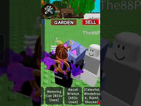 scamer my moon cat biodata in comen