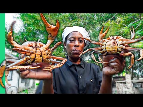 SHOCKING Bahamas Food Tour!! Can You Guess What This Is??