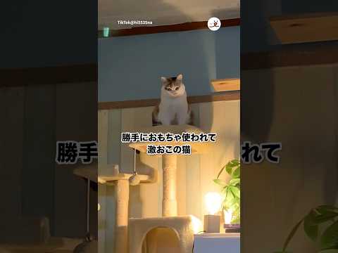 【怒】帰省してきた子供におもちゃ勝手に使われてた｜PECO