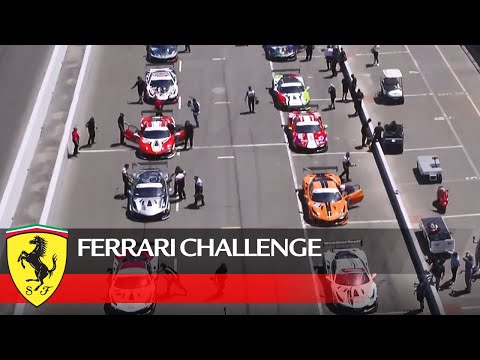 Ferrari Challenge North America ? Sonoma 2021, Trofeo Pirelli Race 2