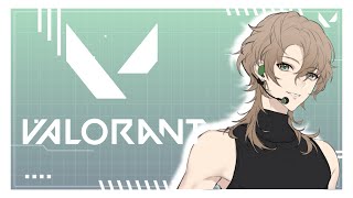 【VALO】⁠ぷれうぃずカスタム/遅延アリ【個人Vtuber】#vtuber #新人vtuber