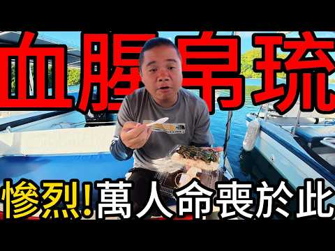 帛琉晚上發現巨大龍蝦！！滿海的巨型鐘螺丨這裡曾經屍橫遍野，血腥帛琉-貝里琉，滿地二戰彈殼@打魚王翔哥