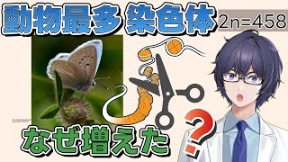 【最新研究2025】動物最多の染色体数の発見　なぜ増えた？　シーケンシング技術の発展とともに  #たかとー研究室