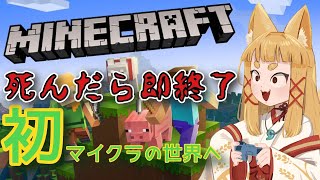 死んだら即終了！はじめてのマイクラ【#神尾赦葉/Vtuber/#ゆるはらいぶ/#karaoke】