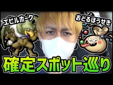 【ドラクエウォーク】6章の超レア『おどるほうせき&エビルホーク』こころSを求めて確定巡り!!【ぎこちゃん】