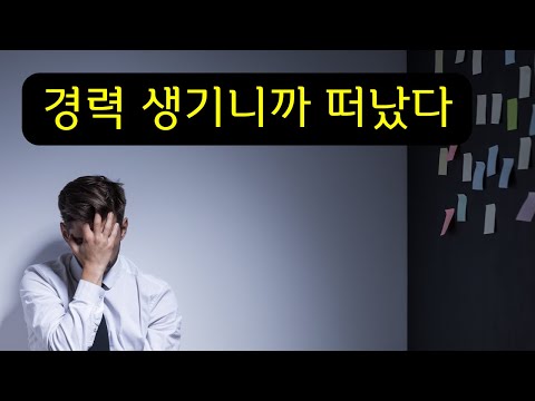 신입 개발자 채용을 안 하려는 기업들