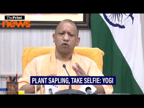 Yogi appeals for public participation to plant 37 cr saplings under ‘Ek Ped Maa Ke Naam’ campaign